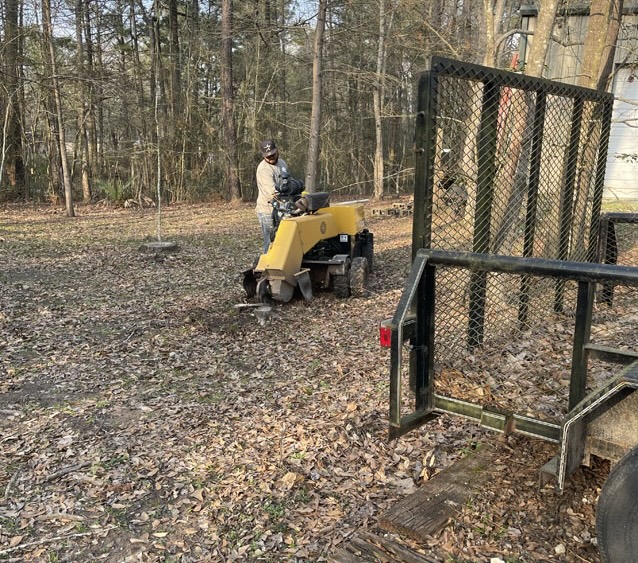 Stump Grinding services in Porter, TX