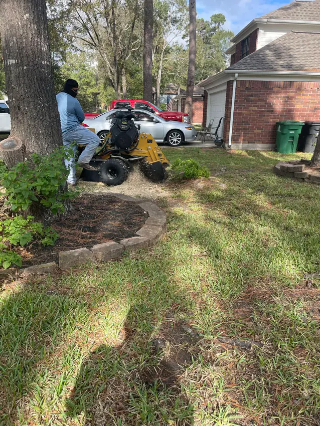 Stump Grinding project by Premier Land Solutions