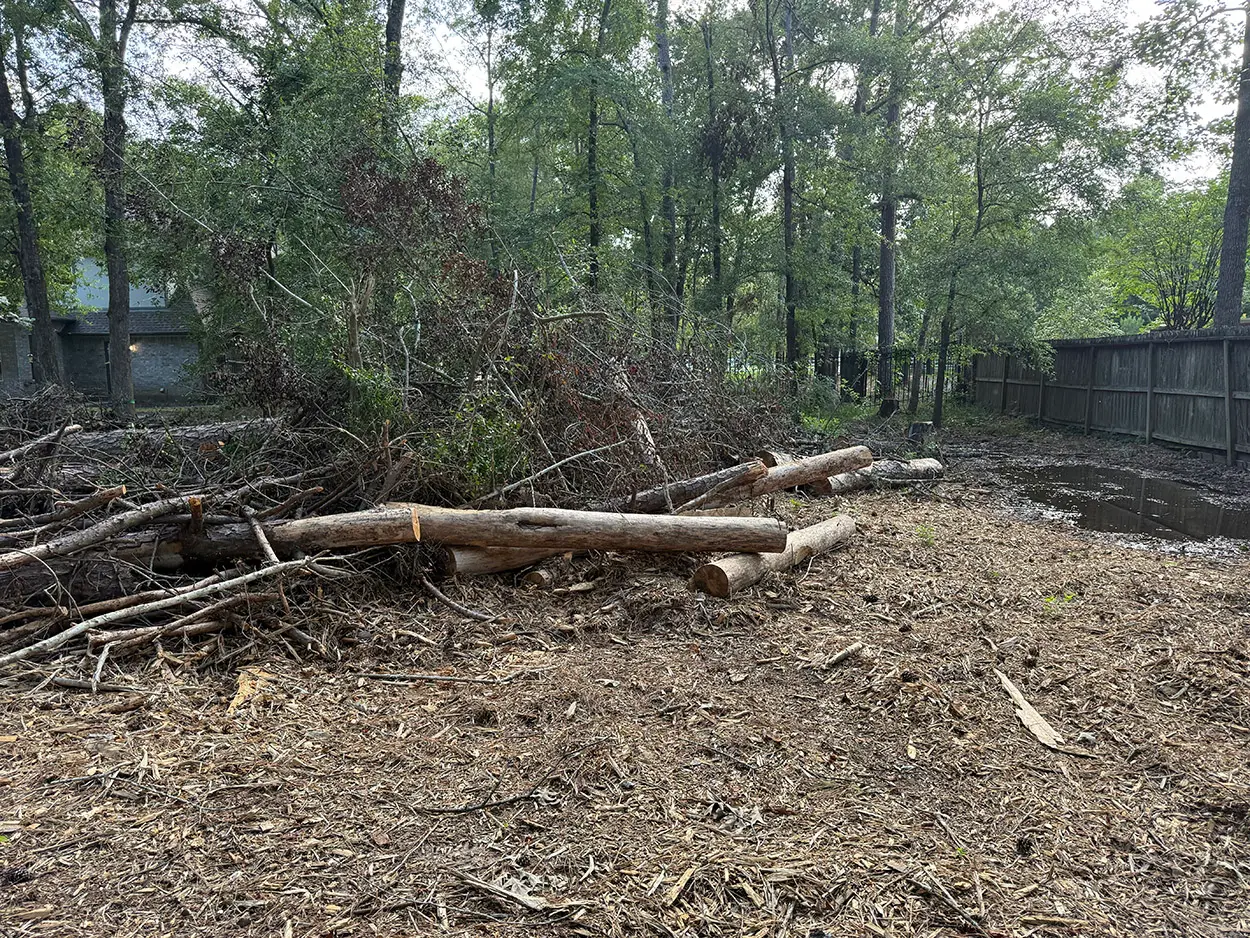 Land Clearing